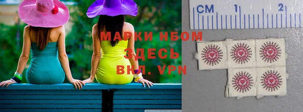 крисы Баксан