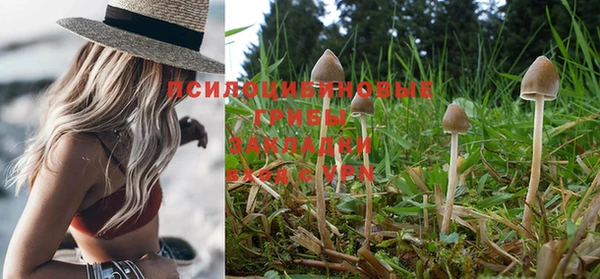 дживик Семилуки