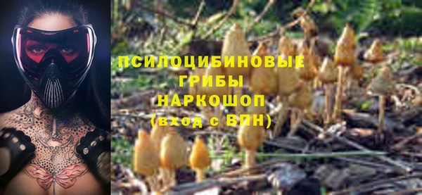 крисы Баксан