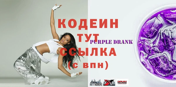 хмурый Снежногорск